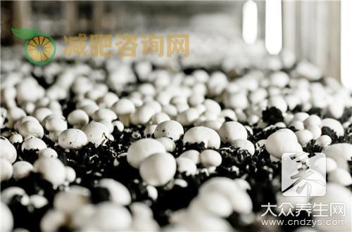 酵母片的功效与作用