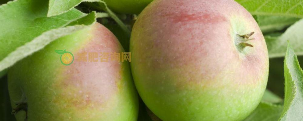 简单的减肥方法 什么减肥方法简单 简单又有效的减肥方法