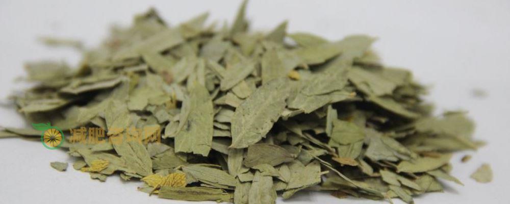 减肥不能伤身体 番泻叶减肥别尝试 番泻叶能不能减肥 番泻叶减肥有什么副作用 番泻叶有什么功效