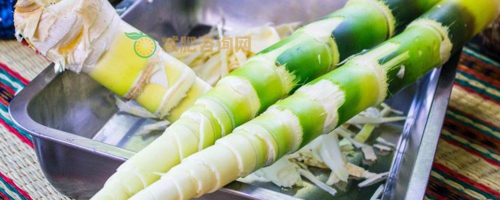 减肥期间多吃什么好 吃它们瘦得快 减肥期间多吃什么好 吃什么可以帮助减肥 如何减肥效果快