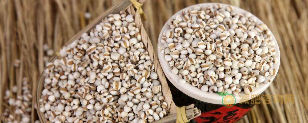 水肿型肥胖怎么办 巧用这些方法可以瘦下来 水肿型肥胖怎么办 水肿型肥胖怎么减肥 水肿型肥胖吃什么好
