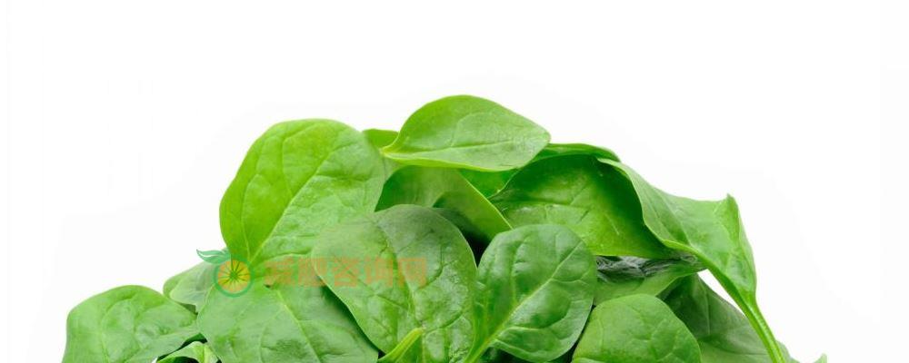 寒冷冬季怎样减肥好 坚持多动少吃很快就能瘦 寒冷冬季怎样减肥好 减肥可以吃什么 冬季减肥的方法有什么