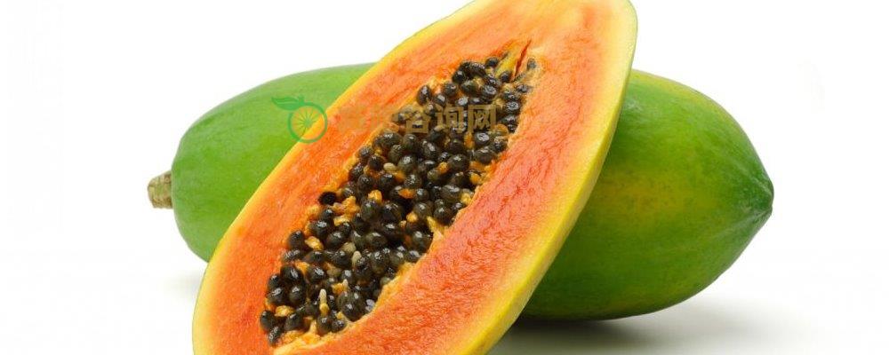 夏季减肥要注意哪些食物 肥胖人群想变瘦就来看 夏季减肥要注意哪些食物 夏季减肥吃什么食物好 减肥吃冬瓜有什么好处