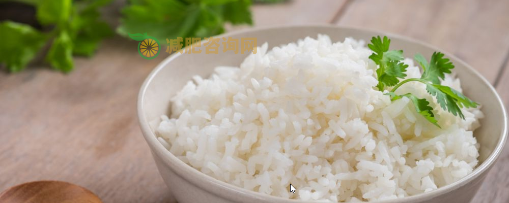 晚上吃半碗饭会胖吗 米饭热量高吗