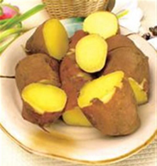 吃什么主食代替米饭能减肥