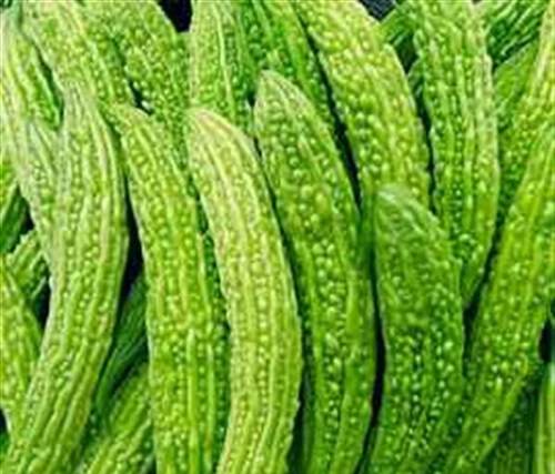 苦瓜泡水喝可以减肥吗 一周能瘦7斤