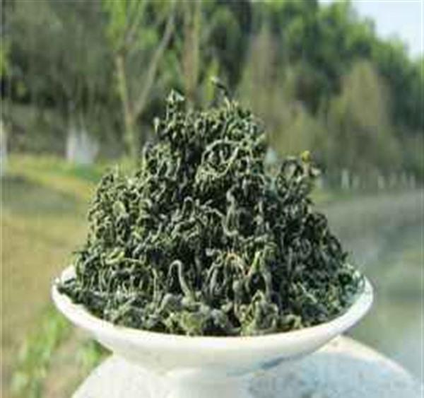 ​绞股蓝茶减肥怎么喝效果好