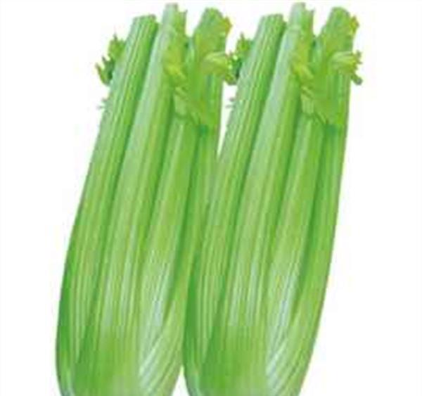 四款减肥瘦身食物 能瘦脸瘦小腹