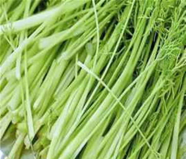 蒸芹菜叶的做法 一道减肥排毒的家常菜