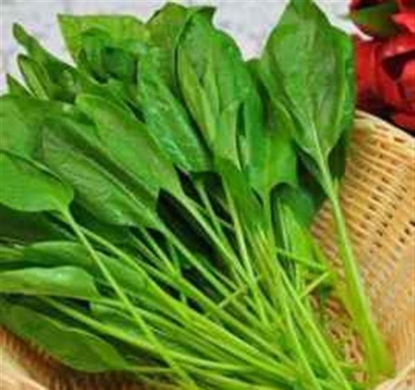 燕麦不能和什么一起吃 三大食物与燕麦相克