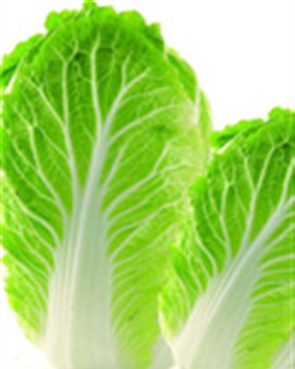 水煮大白菜减肥法 穷人懒人一周瘦8斤食谱