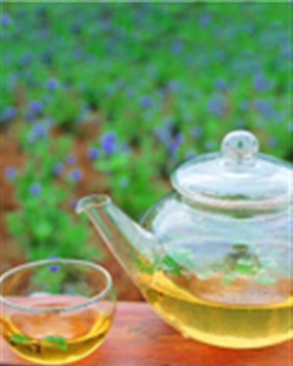 自制减肥瘦身茶配方 月瘦15斤自然健康享瘦一夏
